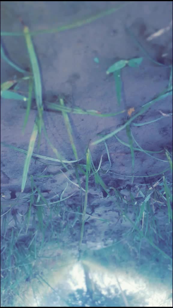 @SÃHÏL_PARDHAN
