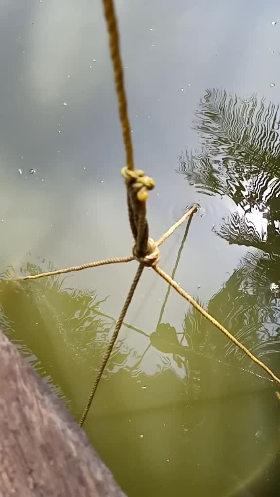 @మనసంతా మహేష్,.. 💝