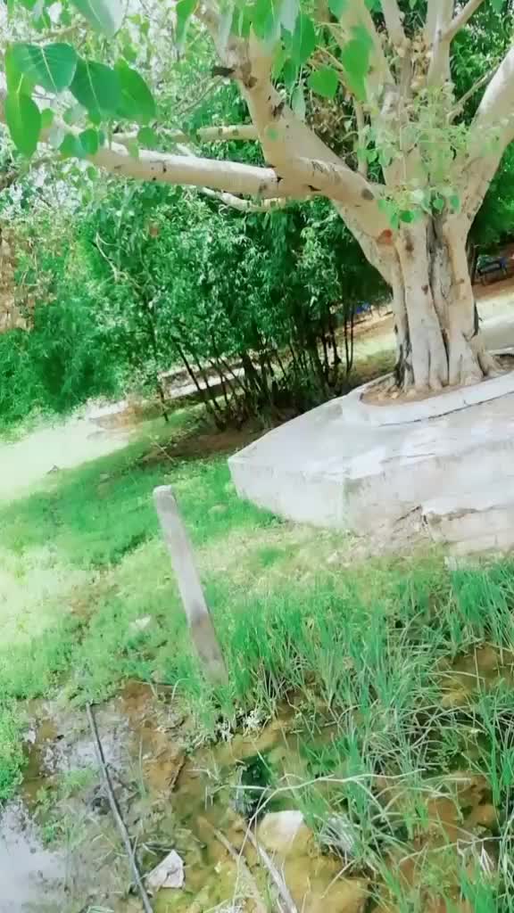 @yadav_riya_๐๐๐