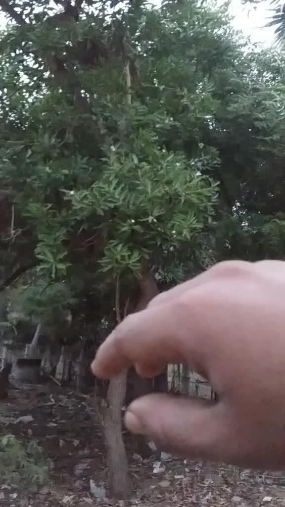 @im_ak_frm_uk