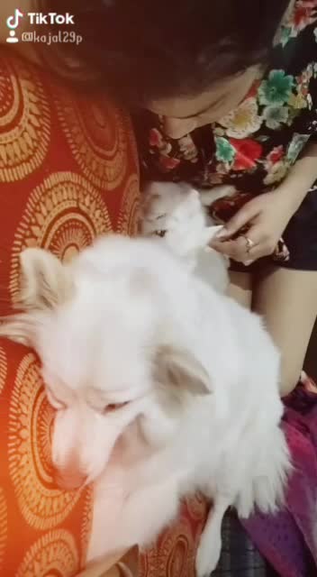 @cutipie_jaaz