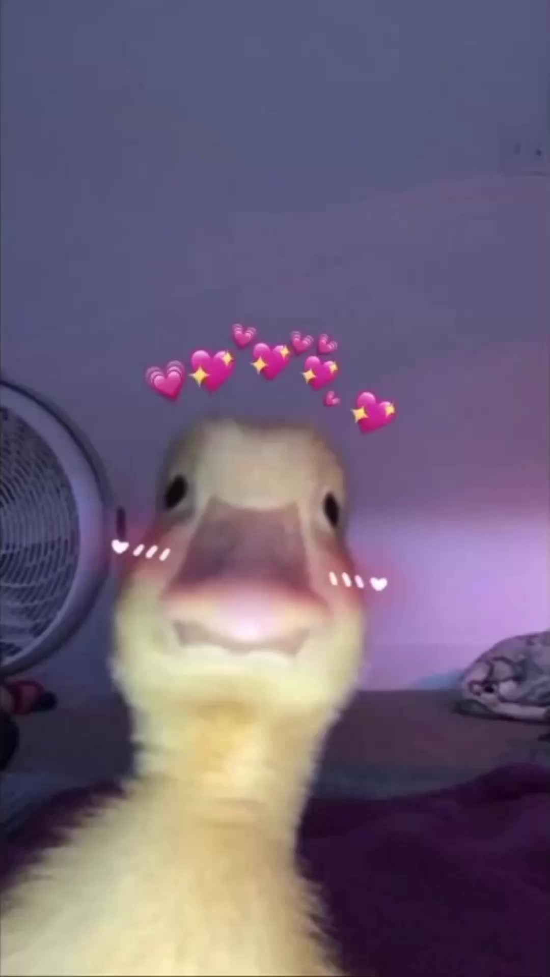 @๐ ๐ ๐ ๐ ๐๐