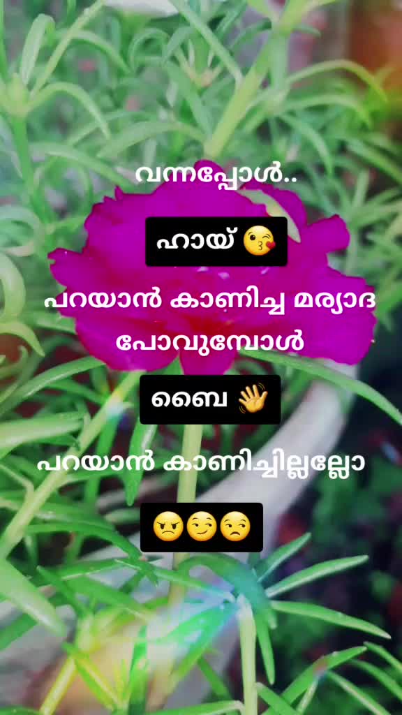 @❤️MajidaSajeer❤️