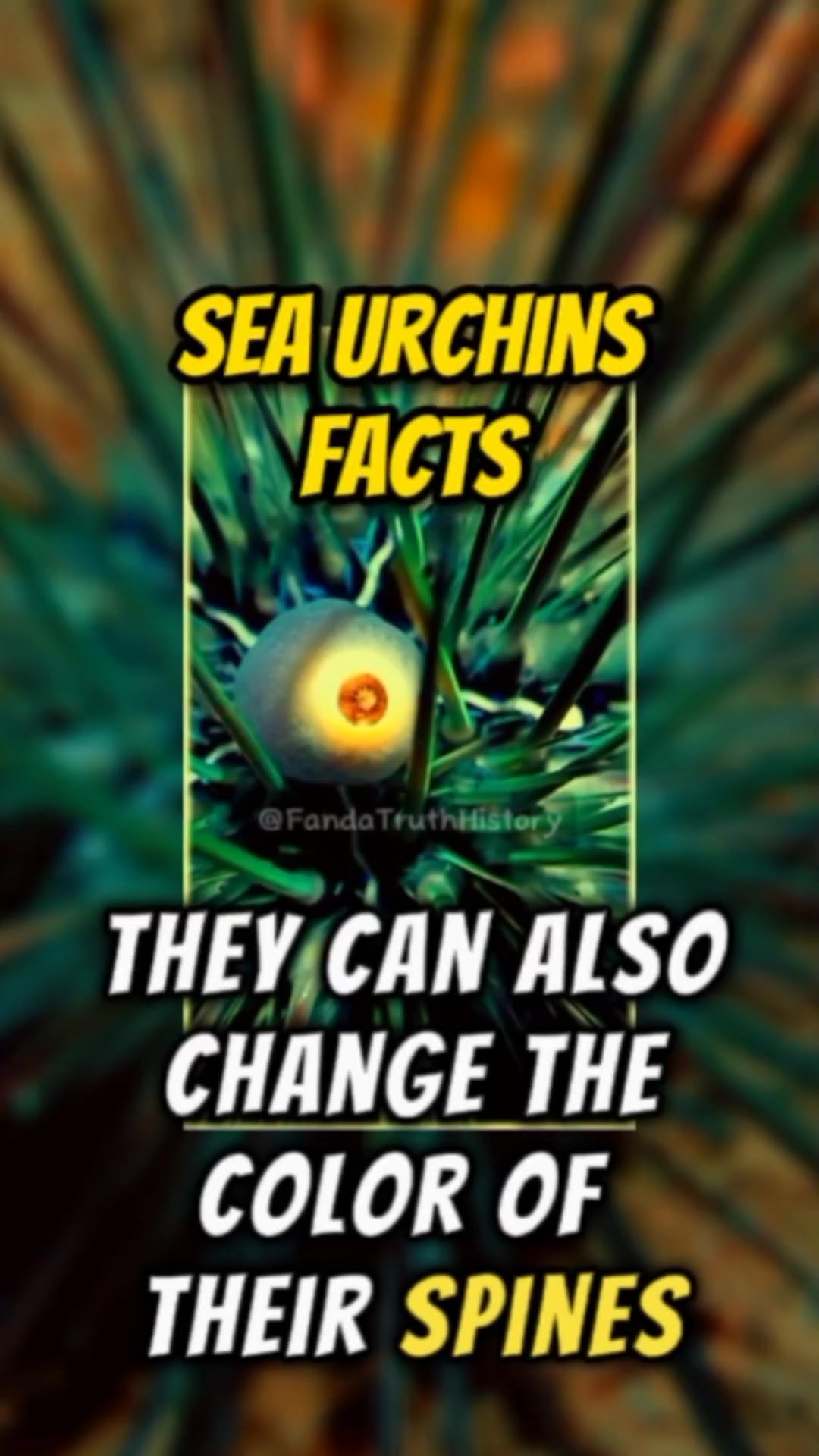 @Fandatruthhistory