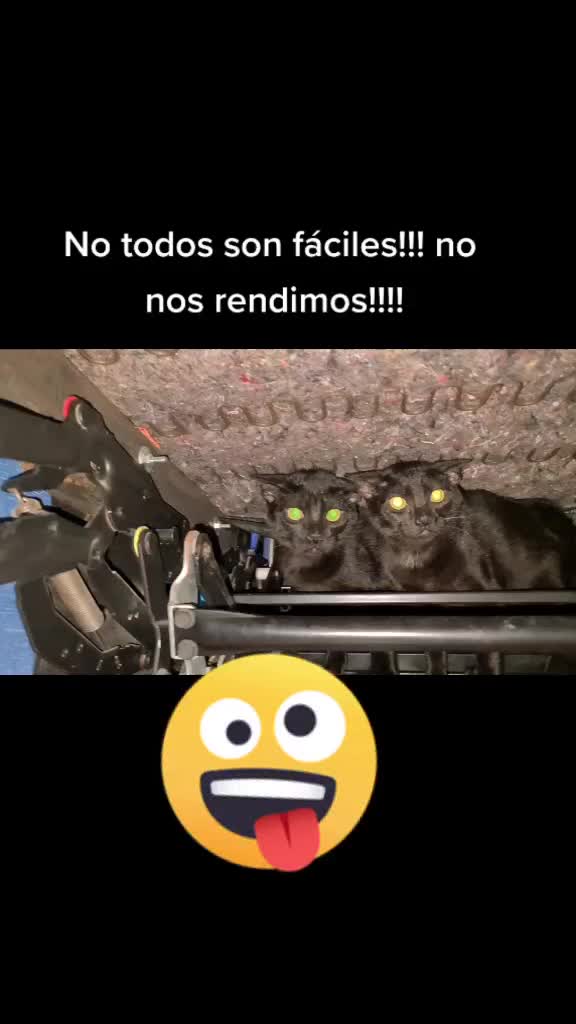 @Ronporsiempre
