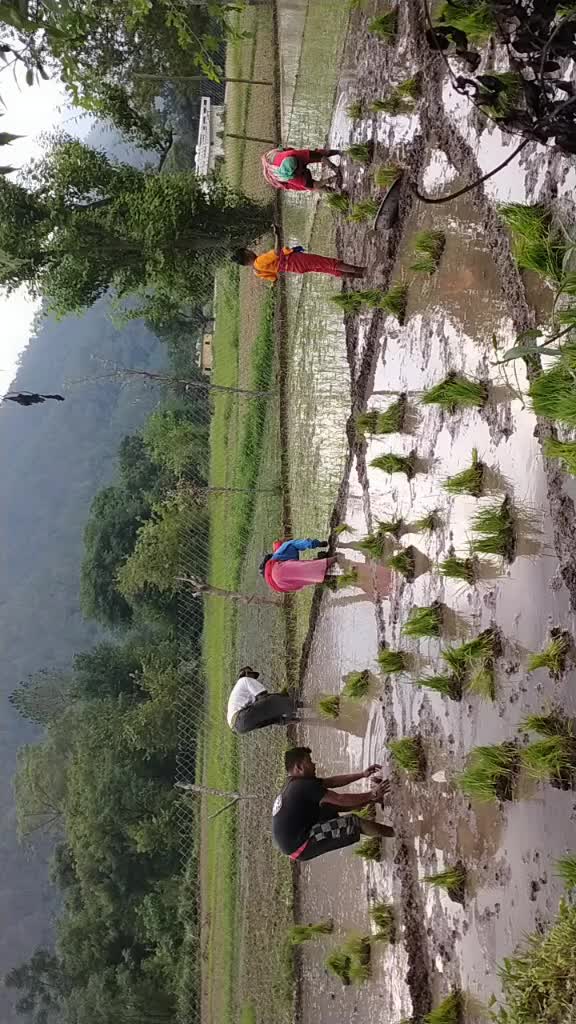 @GIRISH KUMAR
