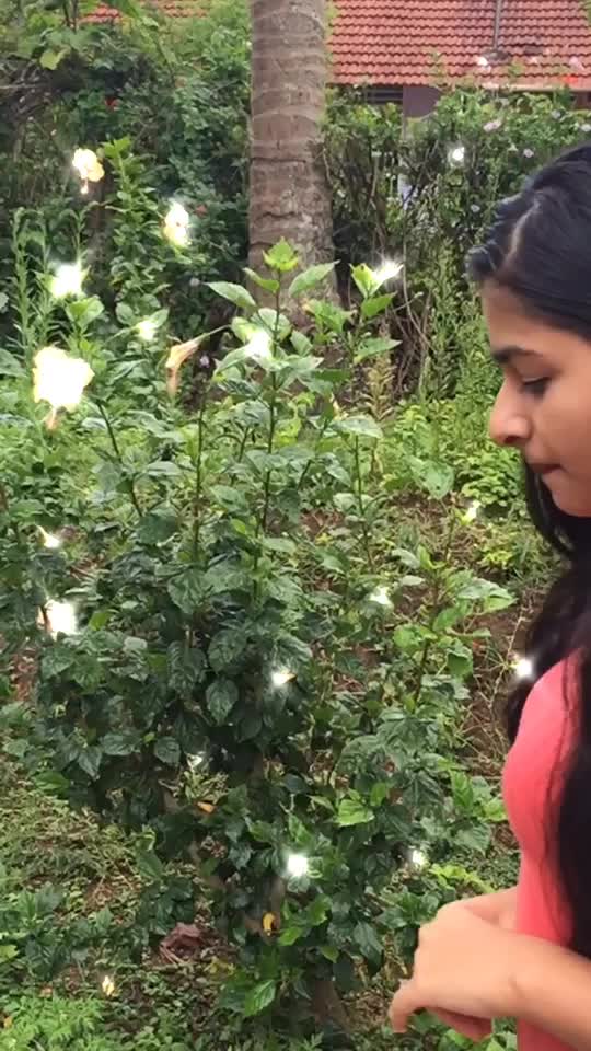 @Misty gowda 🌸