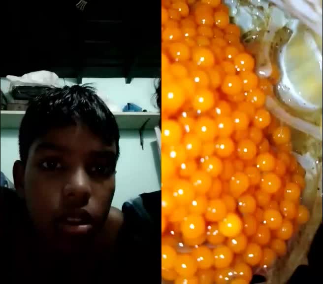 @user369530308094