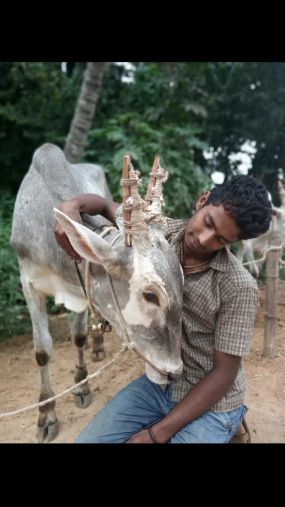 @🐂Sachin8453847757🐂