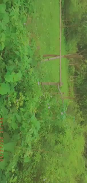@Reenaroy(😘😘😘😘)