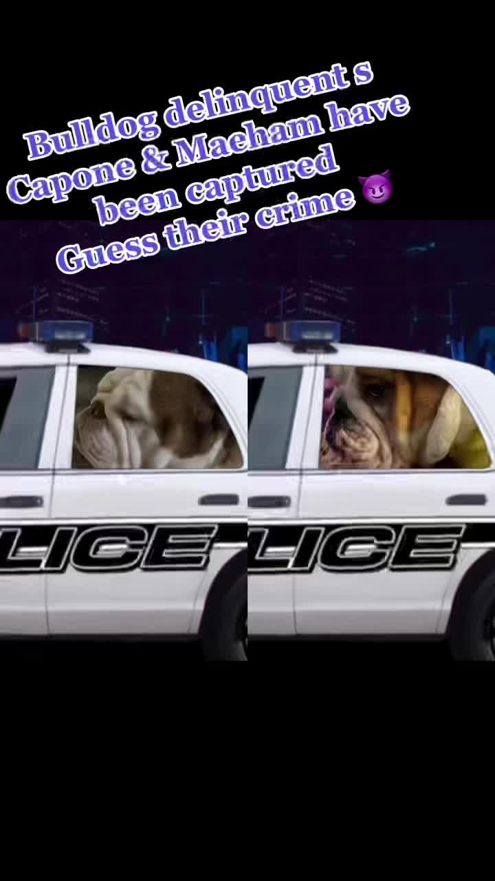 @Stacey Wallace6728