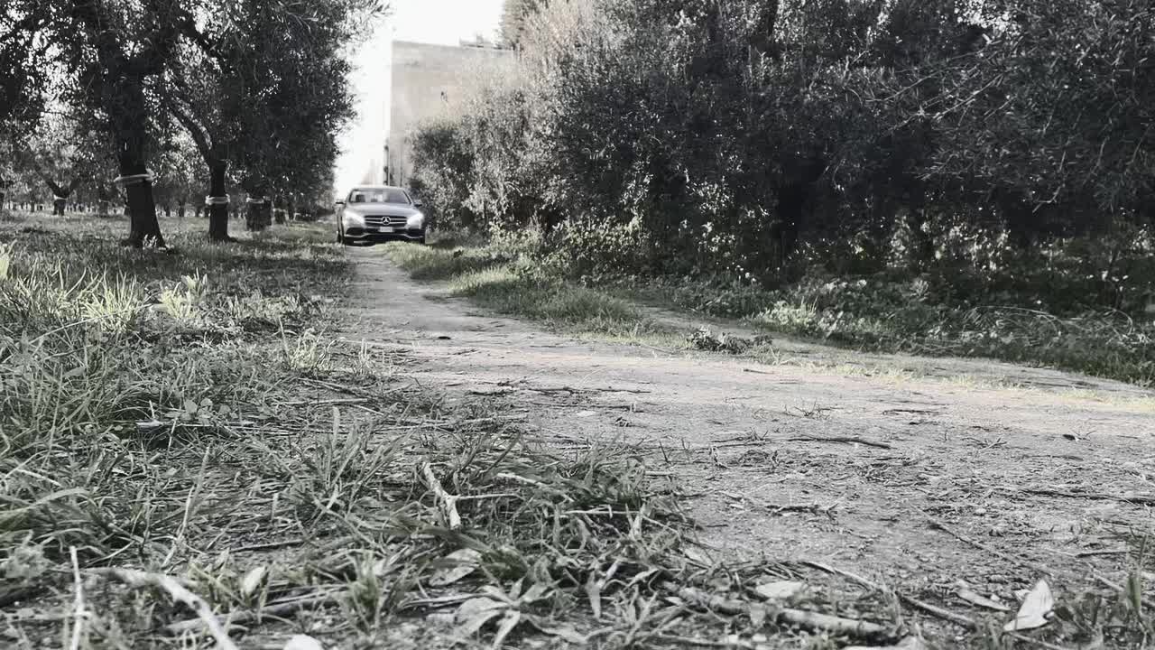 @Nicola Iurilli