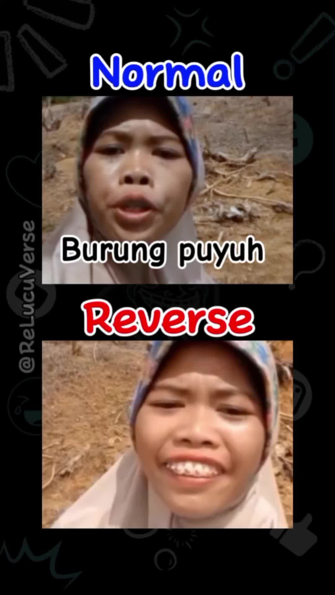 @ReLucuVerse