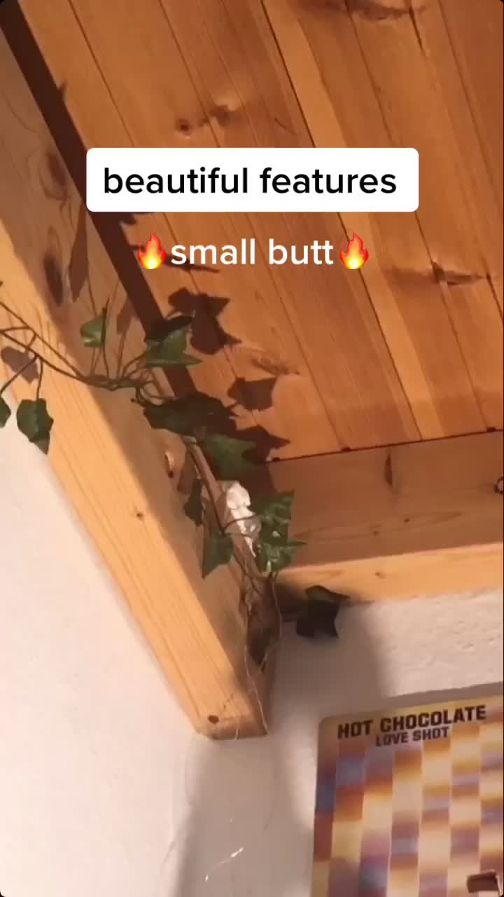 @Body Positivity