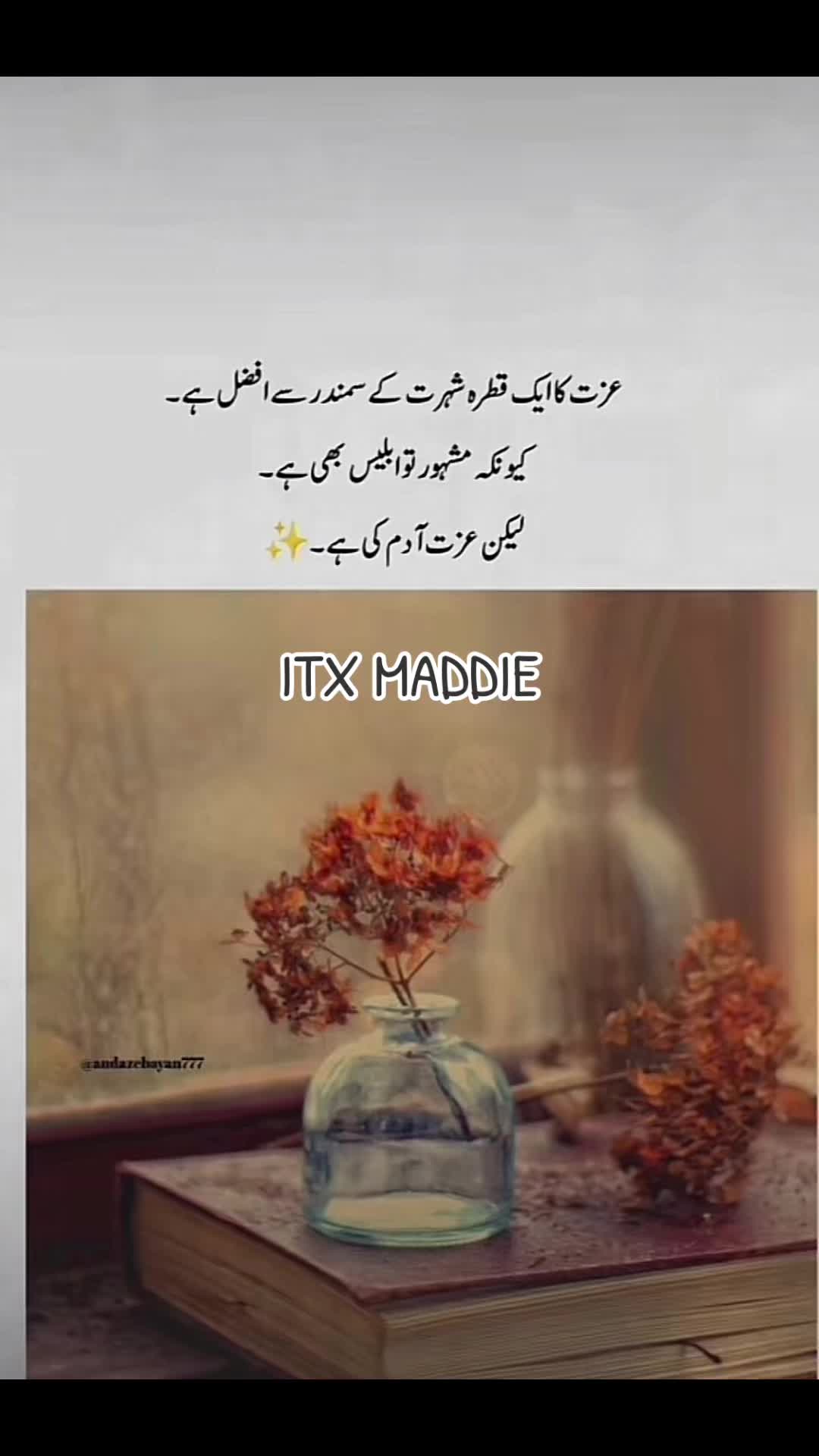@ItX Maddie