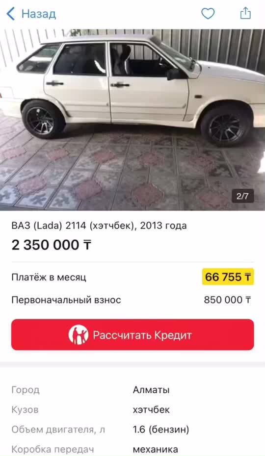 @david_mamedov_20