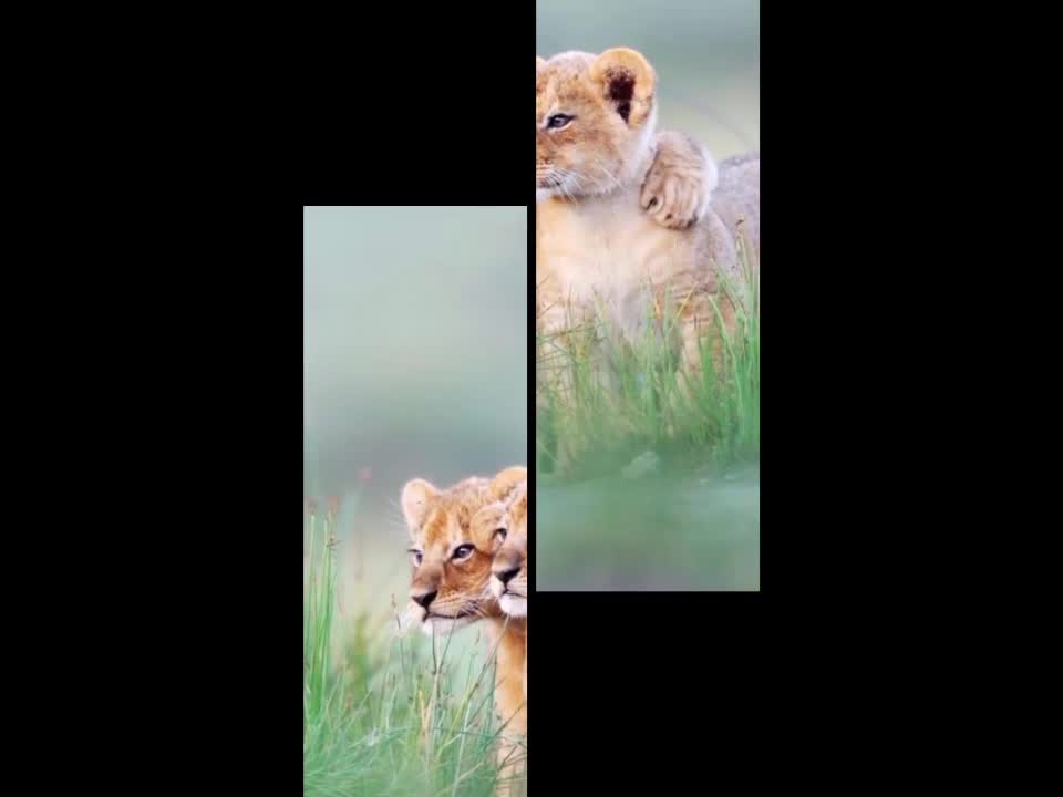 @💖ïT _mé_👑❣_säm Éér❣️