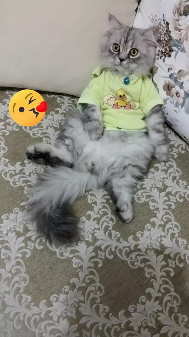@Hiranur babayiğit