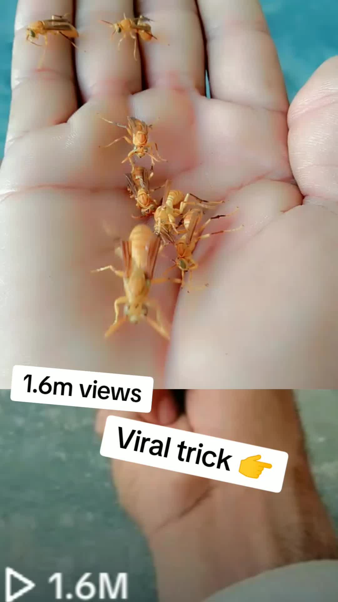 @Malik Bhai
