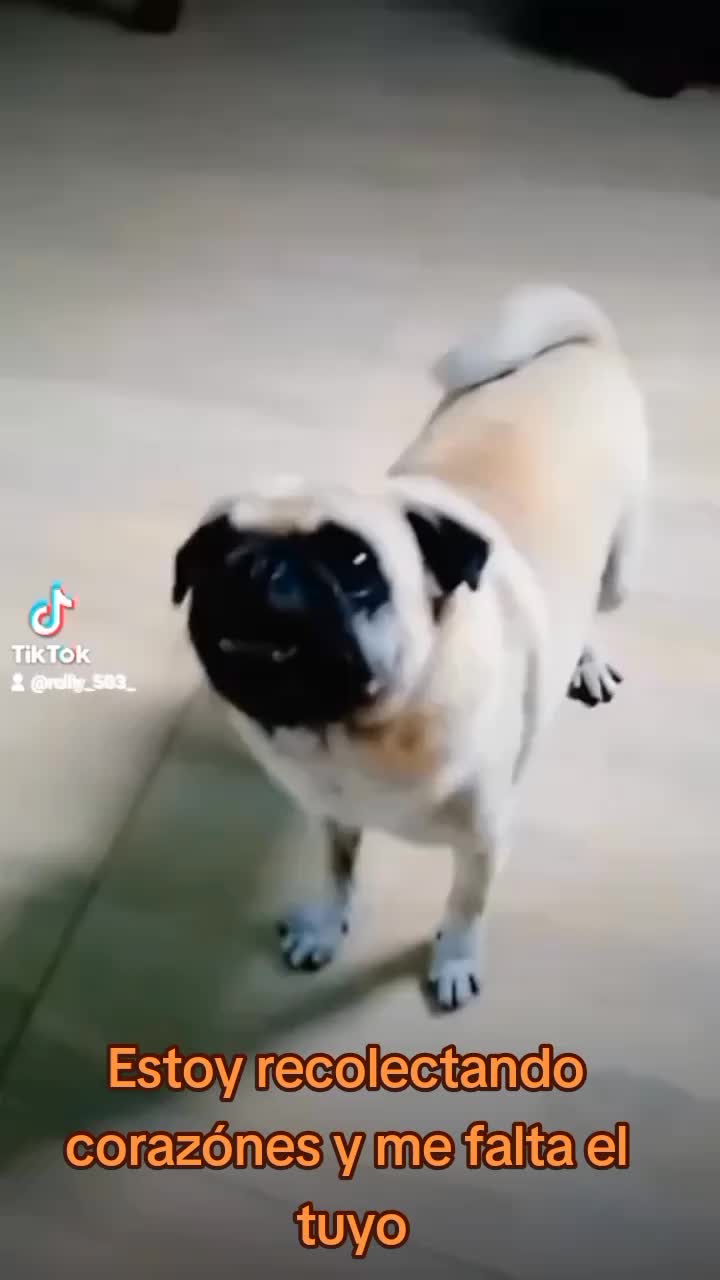 @quakitty❤