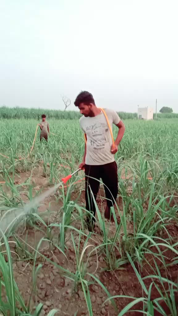 @Vashu Panwar😎