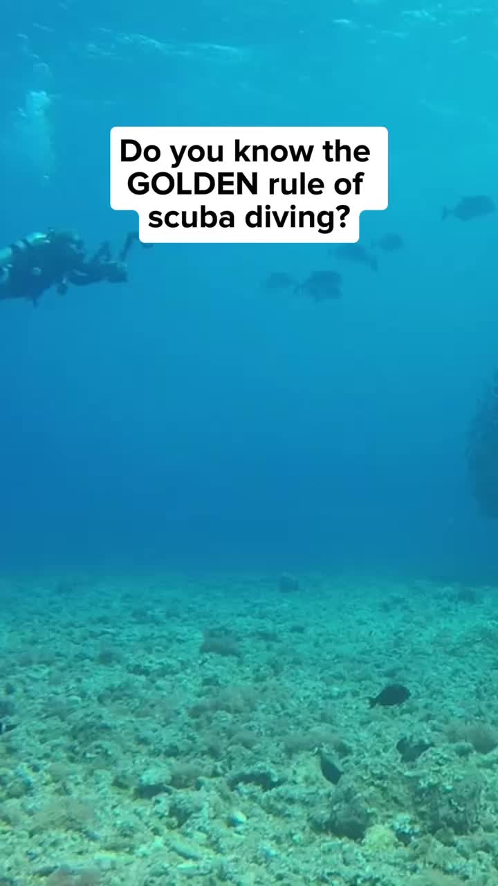 @Divernowmarine
