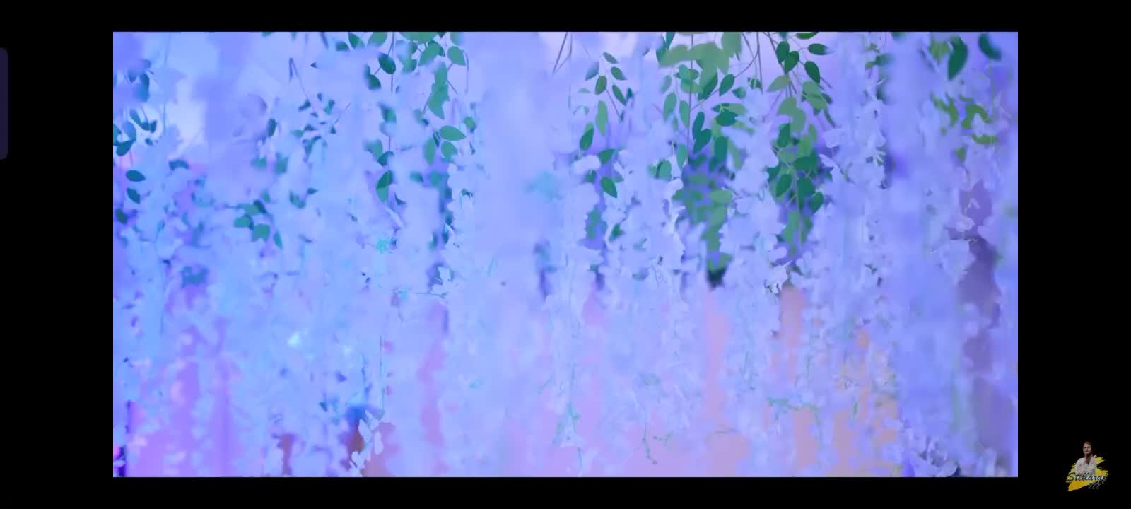 @๐ผ๐ฐ๐ณ๐ท๐ ๐ณ๐ฐ๐๐ฐ๐๐ธ