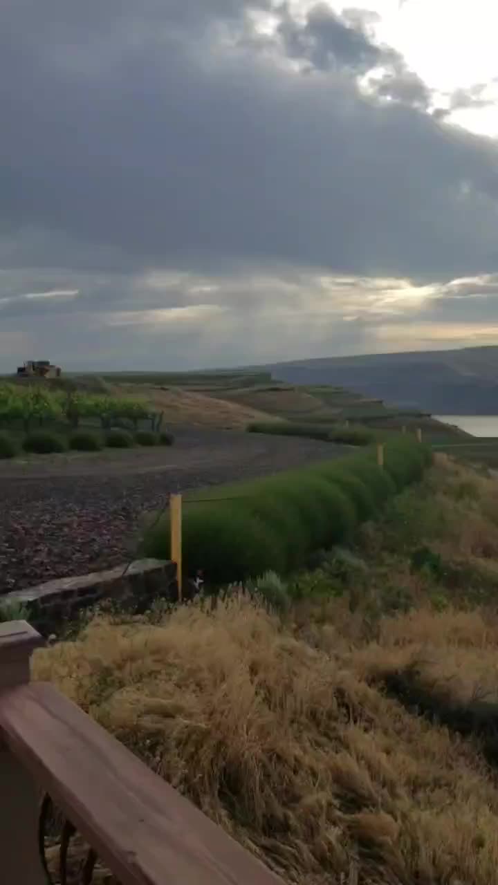 @punchdown_princess