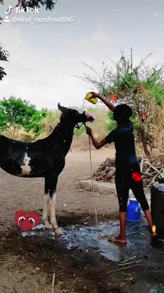 @vishal_ mundhava_ 88