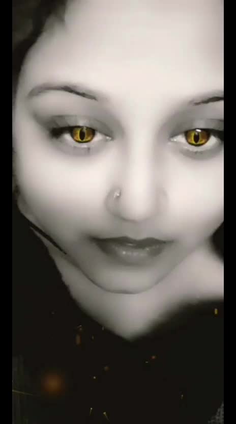 @user311084