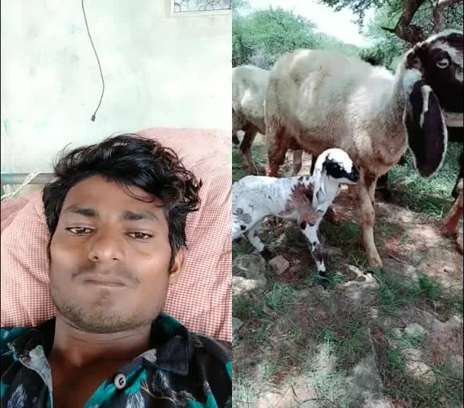 @Dhanji Koli2
