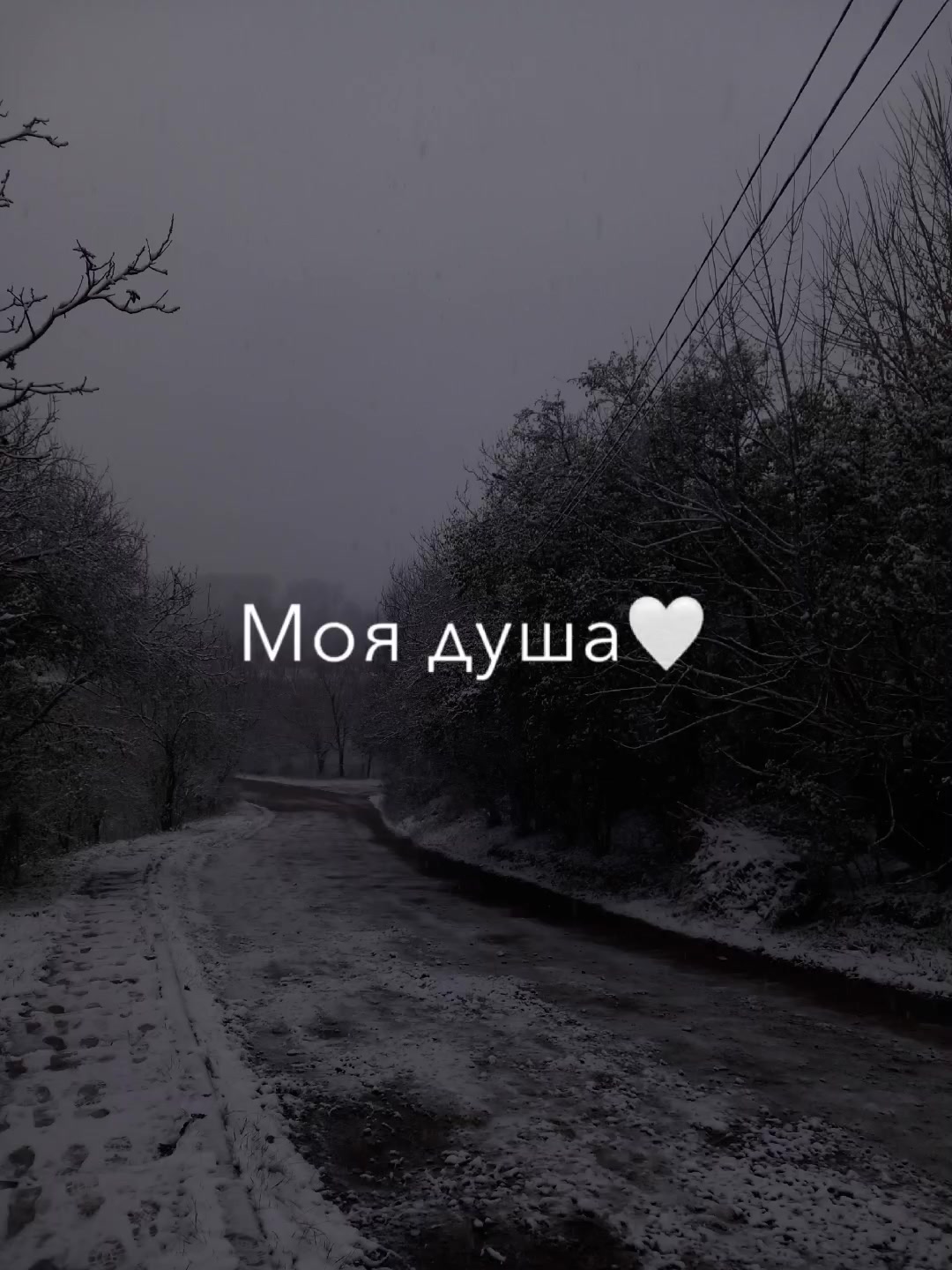 @muzika_muzika_k