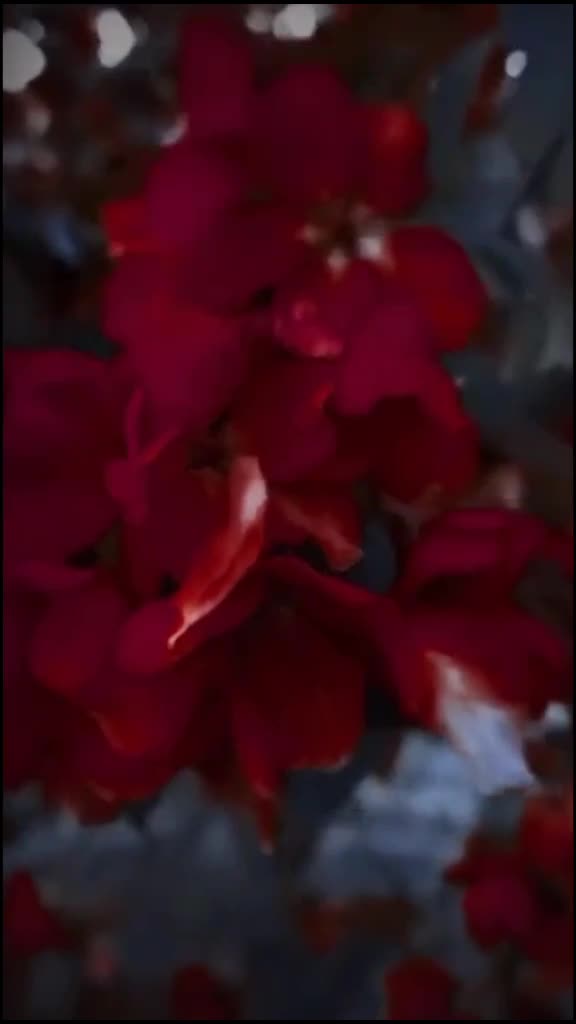 @TaQDeeR0507(FiRdAuS)