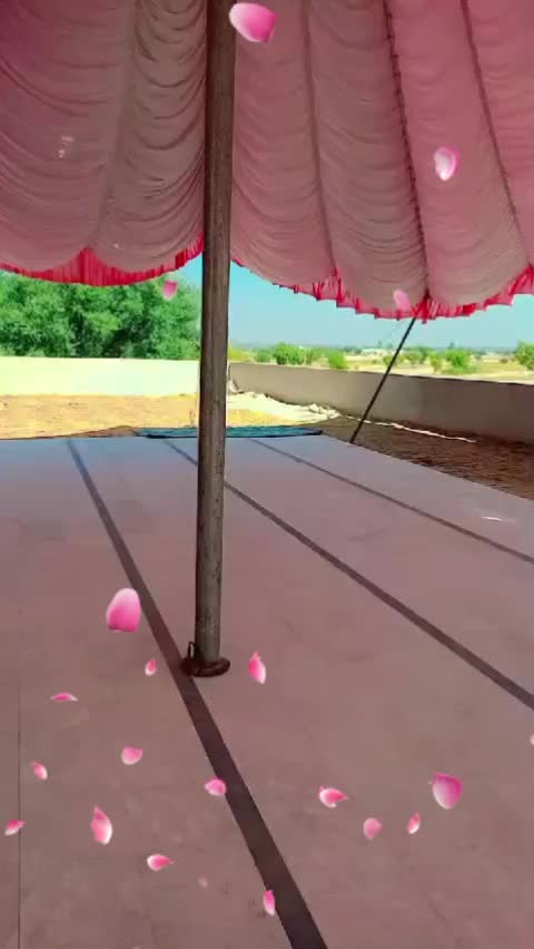 @Punjabi kuri...