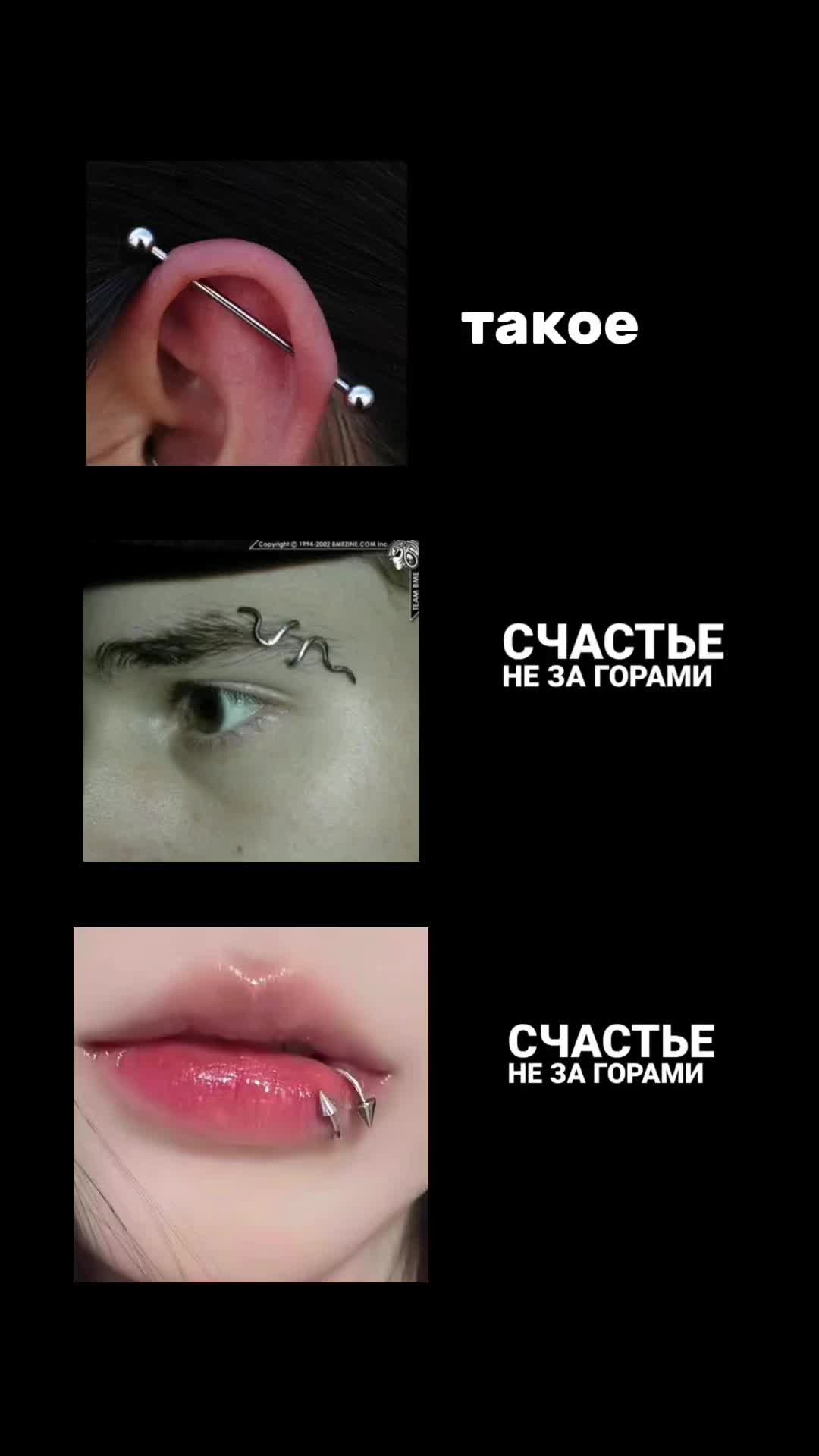 @🫶🏿🪳