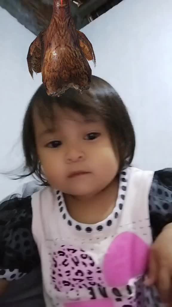 @cimplukan1