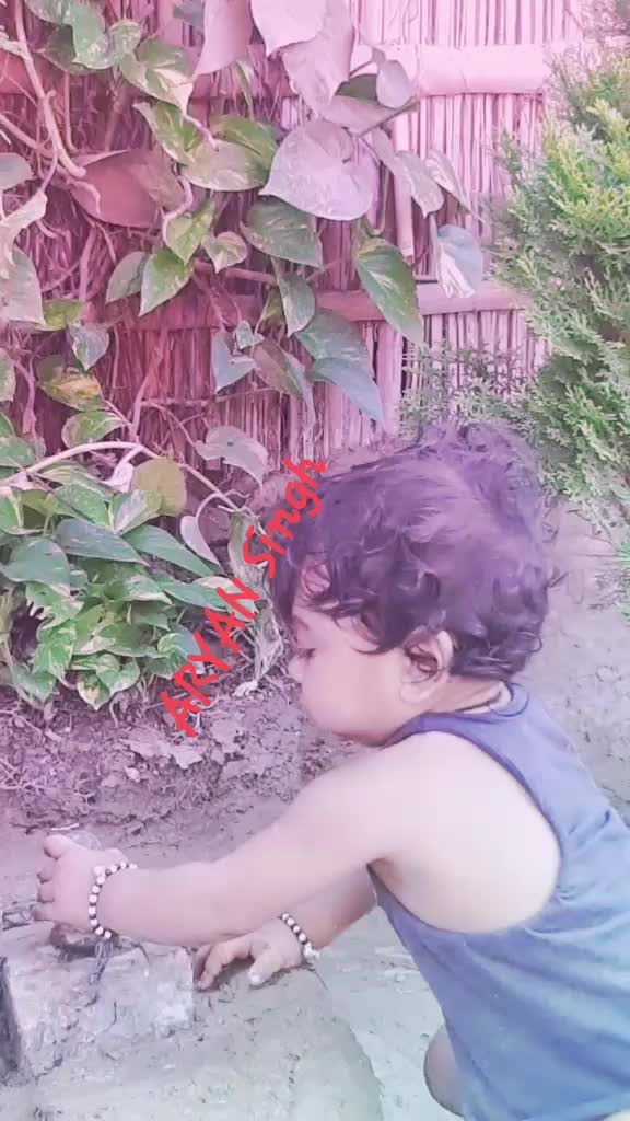 @Kush Kumar