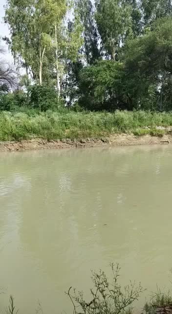 @Ma Ka Ladla