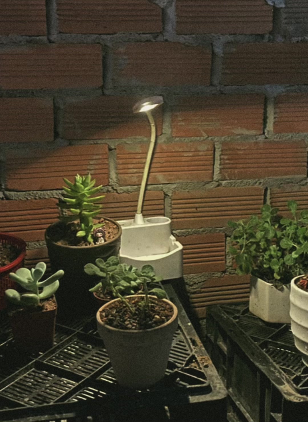 @Trốn L&ecirc;n Đ&agrave; Lạt ☘️