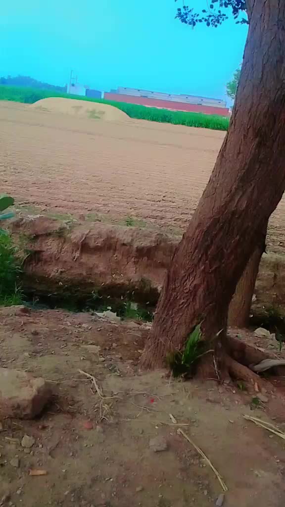 @😇 amir Khan