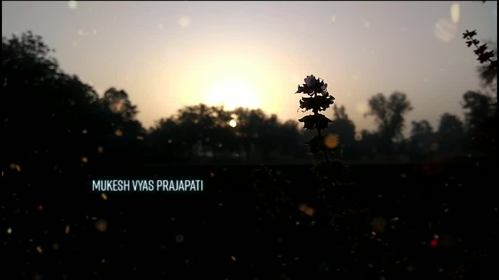 @Mukesh VyasPrajapati