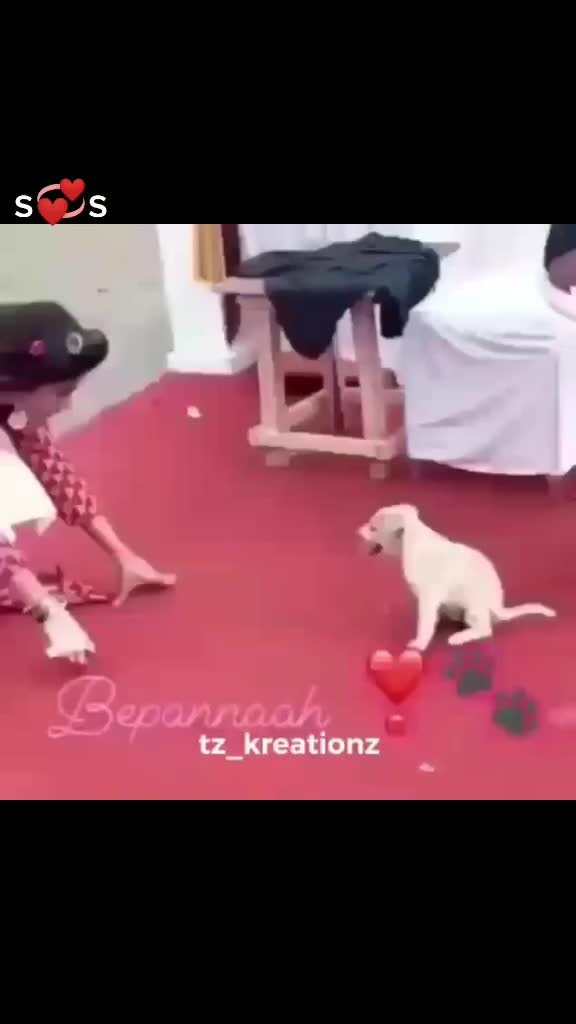 @user3673807545913