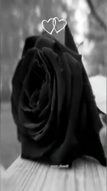 @ضوء القمر ❤