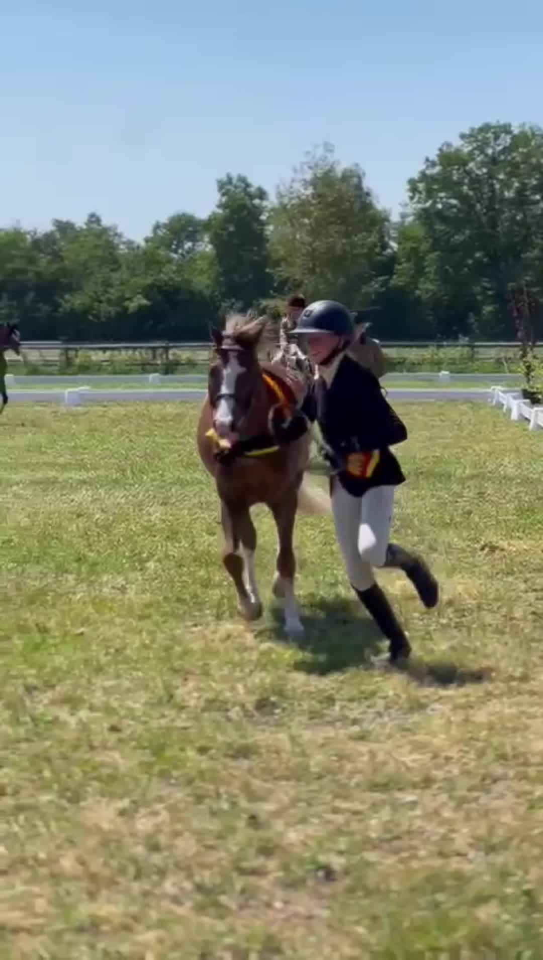 @allroundxgroep🩷🐴