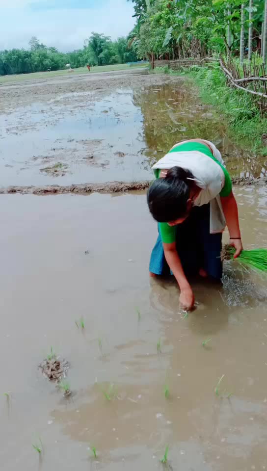 @dhunu sonowal