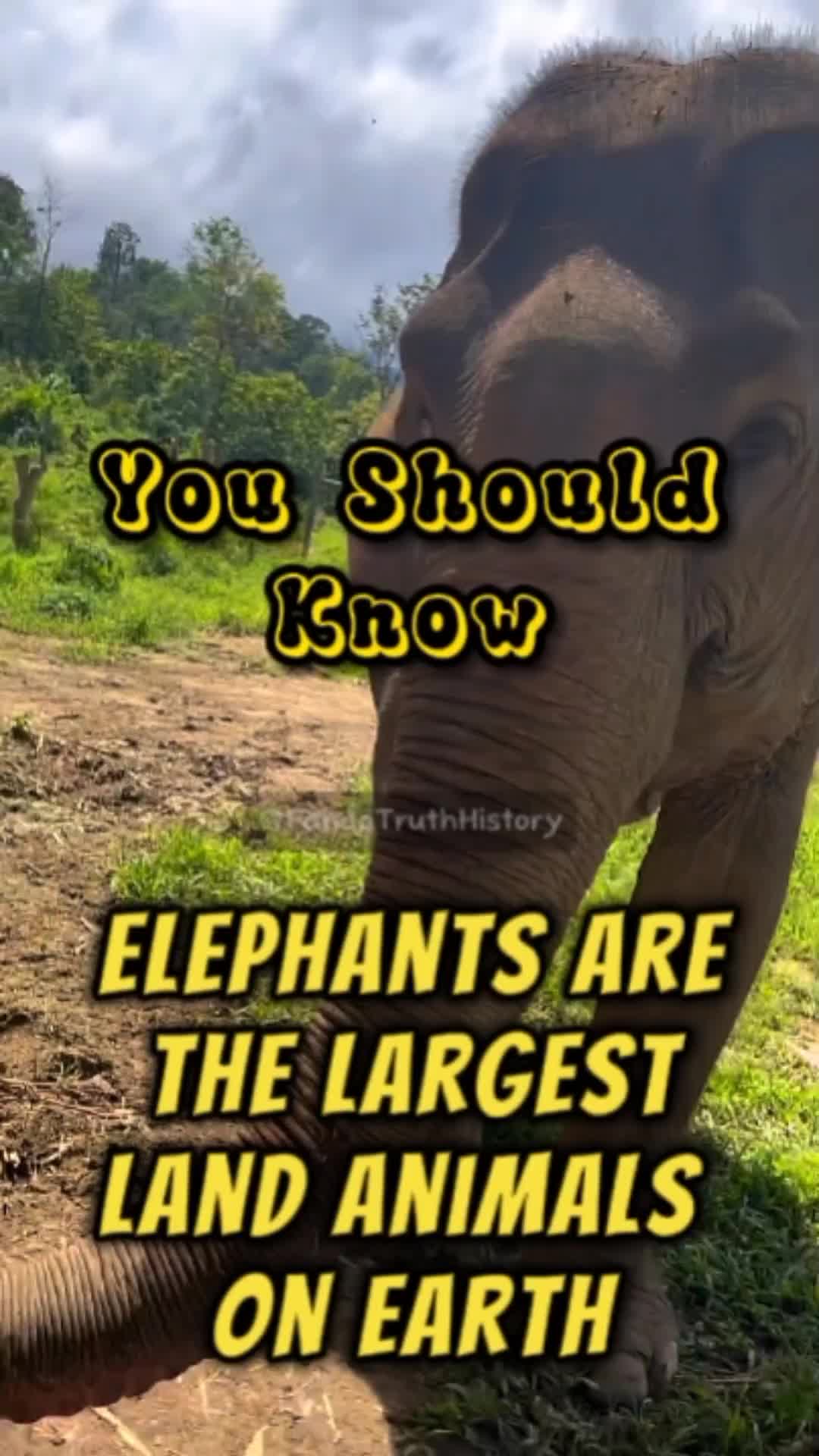@Fandatruthhistory