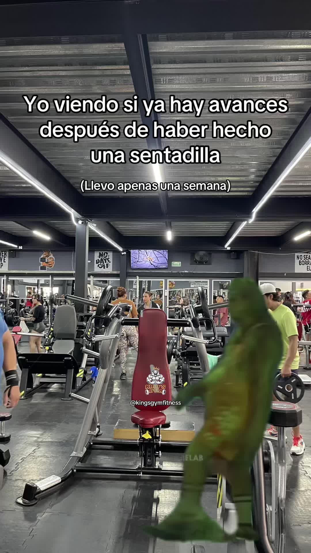 @kingsgymfitness