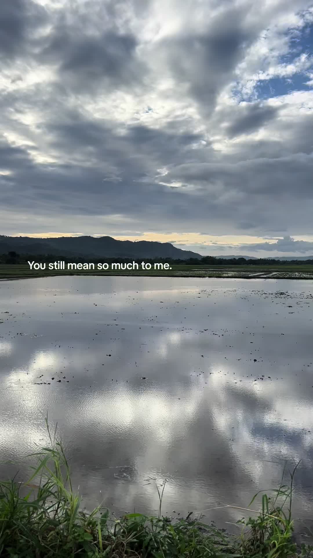 @🤍