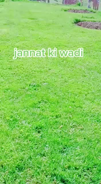 @sallujaan