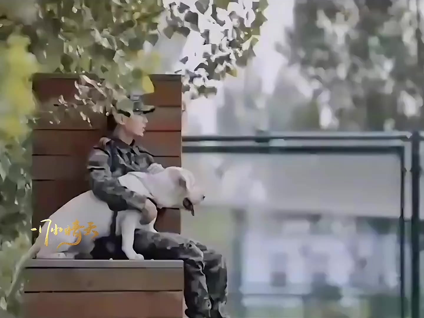 @ChengYi Hachimi